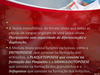  TEORIA MONOFILÁTICA DE FERRATA
 A Teoria monofilática de ferrata relata que todas as
células de sangue originam de uma única célula
Plurípotente com capacidade de diferenciação e
duplicação.
 A Medula óssea possui funções exclusivas, como a
ERITROPOIESE ,que consiste na formação dos
eritrocitos, a PLAQUETOPOIESE que consiste na
formação das Plaquetas e a GRANULOCITOPOIESE
que consiste na formação dos granulócitos e a
linfopoiese que consiste na formação dos linfócitos.,
 