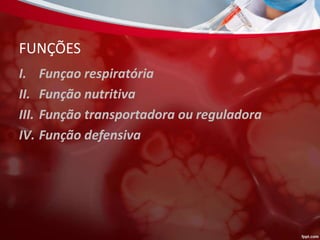FUNÇÕES
I. Funçao respiratória
II. Função nutritiva
III. Função transportadora ou reguladora
IV. Função defensiva
 