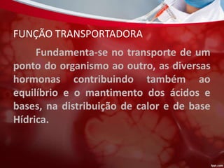 FUNÇÃO TRANSPORTADORA
Fundamenta-se no transporte de um
ponto do organismo ao outro, as diversas
hormonas contribuindo também ao
equilíbrio e o mantimento dos ácidos e
bases, na distribuição de calor e de base
Hídrica.
 