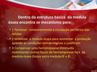  1 Fornecer constantemente a circulação periférica das
células
 2 Mobilizar a medula óssea para aumentar a produção
quando as condições hematológicas o justificam
 3 Compensar uma hematopoiese diminuída
mobilizando outros locais de hematopoiese fora da
medula óssea (locais extra medular)F e B.
Dentro da estrutura básica da medula
óssea encontra se mecanismo para:
 