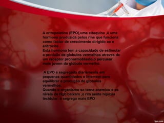 A eritopoietina (EPO),uma citoquina ,é uma
hormona produzida pelos rins que funciona
como factor de crescimento dirigido ao e
eritrocito .
Esta hormona tem a capacidade de estimular
a produão de globulos vermelhos atraves de
um receptor pronormoblasto,o percusor
mais jovem do globulo vermelho.
A EPO é segregada diariamente em
pequenas quantidades e intervém para
equilibrar a produção de globulos
vermelhos.
Quando o organismo se torna anemico e os
niveis de Hgb baixam ,o rim sente hipoxia
tecidular e segrega mais EPO
 