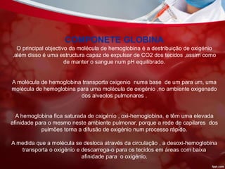 COMPONETE GLOBINA
O principal objectivo da molécula de hemoglobina é a destribuição de oxigénio
,além disso é uma estructura capaz de expulsar de CO2 dos tecidos ,assim como
de manter o sangue num pH equilibrado.
A molécula de hemoglobina transporta oxigenio numa base de um para um, uma
molécula de hemoglobina para uma molécula de oxigénio ,no ambiente oxigenado
dos alveolos pulmonares .
A hemoglobina fica saturada de oxigénio , oxi-hemoglobina, e têm uma elevada
afinidade para o mesmo neste ambiente pulmonar, porque a rede de capilares dos
pulmões torna a difusão de oxigénio num processo rápido.
A medida que a molécula se desloca através da circulação , a desoxi-hemoglobina
transporta o oxigénio e descarrega-o para os tecidos em áreas com baixa
afinidade para o oxigénio.
 