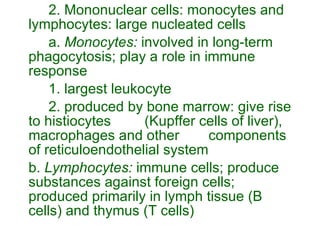 2. Mononuclear cells: monocytes and lymphocytes: large nucleated cells a.  Monocytes:  involved in long-term phagocytosis; play a role in immune response 1. largest leukocyte 2. produced by bone marrow: give rise to histiocytes  (Kupffer cells of liver), macrophages and other  components of reticuloendothelial system b.  Lymphocytes:  immune cells; produce substances against foreign cells; produced primarily in lymph tissue (B cells) and thymus (T cells) 