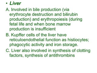Liver A. Involved in bile production (via erythrocyte destruction and bilirubin production) and erythropoiesis (during fetal life and when bone marrow production is insufficient B. Kupffer cells of the liver have reticuloendothelial function as histiocytes; phagocytic activity and iron storage. C. Liver also involved in synthesis of clotting factors, synthesis of antithrombins 