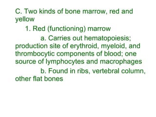 C. Two kinds of bone marrow, red and yellow 1. Red (functioning) marrow a. Carries out hematopoiesis; production site of erythroid, myeloid, and thrombocytic components of blood; one source of lymphocytes and macrophages b. Found in ribs, vertebral column, other flat bones 