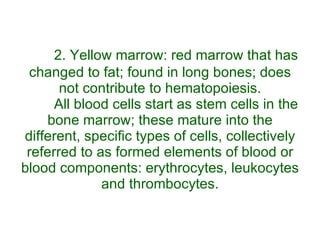 2. Yellow marrow: red marrow that has changed to fat; found in long bones; does not contribute to hematopoiesis. All blood cells start as stem cells in the bone marrow; these mature into the different, specific types of cells, collectively referred to as formed elements of blood or blood components: erythrocytes, leukocytes and thrombocytes. 