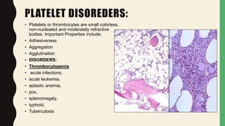 Hematological. exam | PPTX