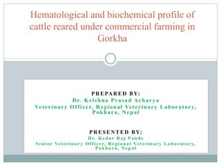 PREPARED BY:
Dr. Krishna Prasad Acharya
Veterinary Officer, Regional Veterinary Laboratory,
Pokhara, Nepal
PRESENTED BY:
D r. K e d a r R a j P a n d e
S e n i o r Ve t e r i n a r y O f f i c e r, R e g i o n a l Ve t e r i n a r y L a b o r a t o r y,
P o k h a r a , N e p a l
Hematological and biochemical profile of
cattle reared under commercial farming in
Gorkha
 