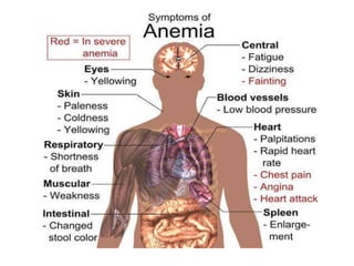 Hematological Disorder Anemia.pptx