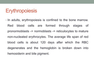 Erythropoiesis
• In adults, erythropoiesis is confined to the bone marrow.
Red blood cells are formed through stages of
pronormoblasts -> normoblasts -> reticulocytes to mature
non-nucleated erythrocytes. The average life span of red
blood cells is about 120 days after which the RBC
degenerates and the hemoglobin is broken down into
hemosiderin and bile pigment.
 