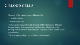 Comprehensive Overview of the Hematological System and Blood Components ...