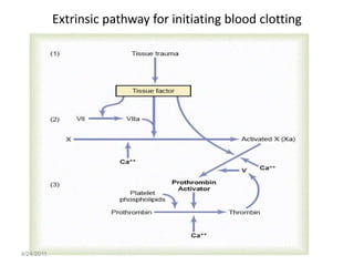 Extrinsic pathway for initiating blood clotting




4/24/2011
 