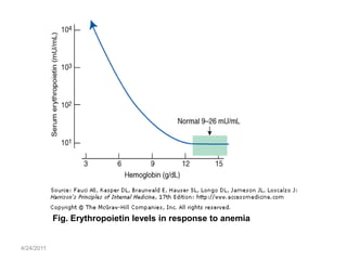 Fig. Erythropoietin levels in response to anemia


4/24/2011
 