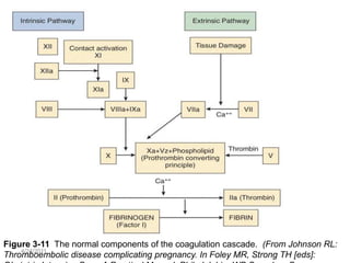Figure 3-11 The normal components of the coagulation cascade. (From Johnson RL:
    4/24/2011
Thromboembolic disease complicating pregnancy. In Foley MR, Strong TH [eds]:
 
