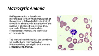Macrocytic Anemia
• Pathogenesis: It’s a descriptive
morphologic term in which maturation of
the nucleus is delayed relative to that of
cytoplasm. The delay in maturation of the
nucleus is attributed to defective DNA
synthesis. This condition leads to
Megaloblastic marrow and ineffective
erythropoiesis.
• The immature erythroblasts are destroyed
within the bone marrow leading
(Intramedullary hemolysis) which results
Megaloblastic anemia.
 