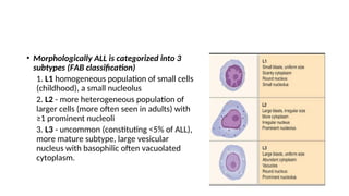 • Morphologically ALL is categorized into 3
subtypes (FAB classification)
1. L1 homogeneous population of small cells
(childhood), a small nucleolus
2. L2 - more heterogeneous population of
larger cells (more often seen in adults) with
≥1 prominent nucleoli
3. L3 - uncommon (constituting <5% of ALL),
more mature subtype, large vesicular
nucleus with basophilic often vacuolated
cytoplasm.
 