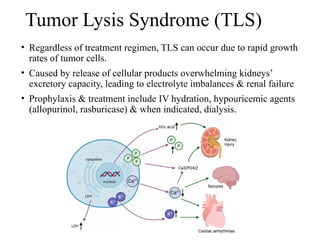 Tumor Lysis Syndrome (TLS)
• Regardless of treatment regimen, TLS can occur due to rapid growth
rates of tumor cells.
• Caused by release of cellular products overwhelming kidneys’
excretory capacity, leading to electrolyte imbalances & renal failure
• Prophylaxis & treatment include IV hydration, hypouricemic agents
(allopurinol, rasburicase) & when indicated, dialysis.
 