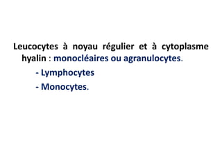 Leucocytes à noyau régulier et à cytoplasme
hyalin : monocléaires ou agranulocytes.
- Lymphocytes
- Monocytes.
 