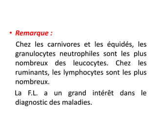 • Remarque :
Chez les carnivores et les équidés, les
granulocytes neutrophiles sont les plus
nombreux des leucocytes. Chez les
ruminants, les lymphocytes sont les plus
nombreux.
La F.L. a un grand intérêt dans le
diagnostic des maladies.
 