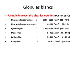 Globules blancs
• Formule leucocytaire chez les équidés (Duncan et al):
 Neutrophiles segmentés : 2900 - 8500 /mm3 (22 - 72%)
 Neutrophiles non segmentés: 0 - 100 /mm3 (0 - 2 %)
 Lymphocytes : 1160 - 5100 /mm3 (17 - 68 %)
 Monocytes : 0 - 700 /mm3 ( 0,5 - 14 %)
 Eosinophiles : 0 – 780 /mm3 (0 - 10 %)
 Basophiles : 0 – 300 /mm3 (0 – 4 %)
 