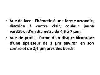 • Vue de face : l’hématie à une forme arrondie,
discoïde à centre clair, couleur jaune
verdâtre, d’un diamètre de 4,5 à 7 µm.
• Vue de profil : forme d’un disque biconcave
d’une épaisseur de 1 µm environ en son
centre et de 2,4 µm près des bords.
 