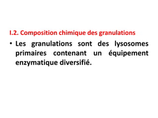 I.2. Composition chimique des granulations
• Les granulations sont des lysosomes
primaires contenant un équipement
enzymatique diversifié.
 