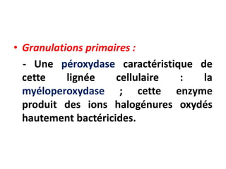 • Granulations primaires :
- Une péroxydase caractéristique de
cette lignée cellulaire : la
myéloperoxydase ; cette enzyme
produit des ions halogénures oxydés
hautement bactéricides.
 