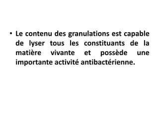 • Le contenu des granulations est capable
de lyser tous les constituants de la
matière vivante et possède une
importante activité antibactérienne.
 