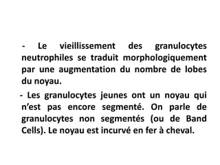 - Le vieillissement des granulocytes
neutrophiles se traduit morphologiquement
par une augmentation du nombre de lobes
du noyau.
- Les granulocytes jeunes ont un noyau qui
n’est pas encore segmenté. On parle de
granulocytes non segmentés (ou de Band
Cells). Le noyau est incurvé en fer à cheval.
 