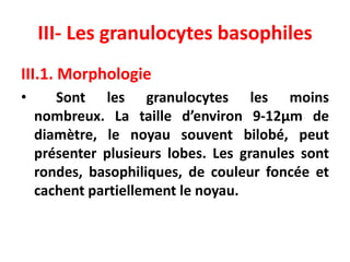 III- Les granulocytes basophiles
III.1. Morphologie
• Sont les granulocytes les moins
nombreux. La taille d’environ 9-12µm de
diamètre, le noyau souvent bilobé, peut
présenter plusieurs lobes. Les granules sont
rondes, basophiliques, de couleur foncée et
cachent partiellement le noyau.
 