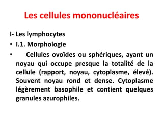 Les cellules mononucléaires
I- Les lymphocytes
• I.1. Morphologie
• Cellules ovoïdes ou sphériques, ayant un
noyau qui occupe presque la totalité de la
cellule (rapport, noyau, cytoplasme, élevé).
Souvent noyau rond et dense. Cytoplasme
légèrement basophile et contient quelques
granules azurophiles.
 