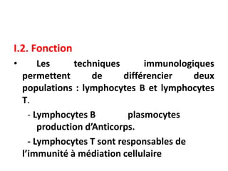 I.2. Fonction
• Les techniques immunologiques
permettent de différencier deux
populations : lymphocytes B et lymphocytes
T.
- Lymphocytes B plasmocytes
production d’Anticorps.
- Lymphocytes T sont responsables de
l’immunité à médiation cellulaire
 
