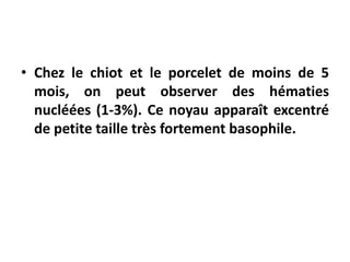 • Chez le chiot et le porcelet de moins de 5
mois, on peut observer des hématies
nucléées (1-3%). Ce noyau apparaît excentré
de petite taille très fortement basophile.
 