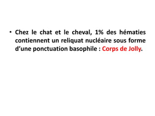 • Chez le chat et le cheval, 1% des hématies
contiennent un reliquat nucléaire sous forme
d’une ponctuation basophile : Corps de Jolly.
 