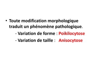 • Toute modification morphologique
traduit un phénomène pathologique.
- Variation de forme : Poikilocytose
- Variation de taille : Anisocytose
 