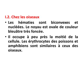 I.2. Chez les oiseaux
• Les hématies sont biconvexes et
nucléées. Le noyau est ovale de couleur
bleuâtre très foncée.
• Il occupe à peu près la moitié de la
cellule. Les érythrocytes des poissons et
amphibiens sont similaires à ceux des
oiseaux.
 