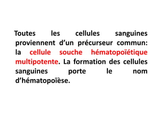 Toutes les cellules sanguines
proviennent d’un précurseur commun:
la cellule souche hématopoïétique
multipotente. La formation des cellules
sanguines porte le nom
d’hématopoïèse.
 