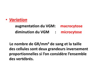 • Variation
augmentation du VGM: macrocytose
diminution du VGM : microcytose
Le nombre de GR/mm3 de sang et la taille
des cellules sont deux grandeurs inversement
proportionnelles si l’on considère l’ensemble
des vertébrés.
 