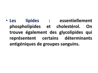 • Les lipides : essentiellement
phospholipides et cholestérol. On
trouve également des glycolipides qui
représentent certains déterminants
antigéniques de groupes sanguins.
 