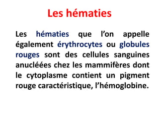 Les hématies
Les hématies que l’on appelle
également érythrocytes ou globules
rouges sont des cellules sanguines
anucléées chez les mammifères dont
le cytoplasme contient un pigment
rouge caractéristique, l’hémoglobine.
 