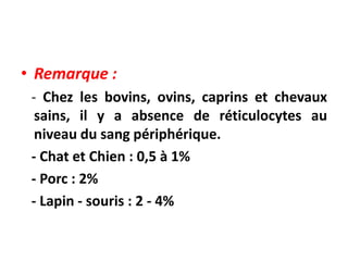 • Remarque :
- Chez les bovins, ovins, caprins et chevaux
sains, il y a absence de réticulocytes au
niveau du sang périphérique.
- Chat et Chien : 0,5 à 1%
- Porc : 2%
- Lapin - souris : 2 - 4%
 