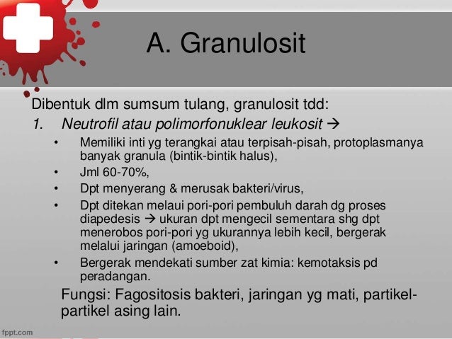 Hematologi