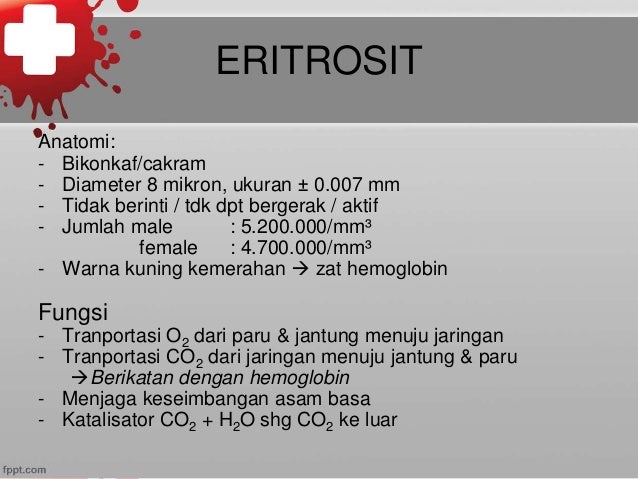 Hematologi
