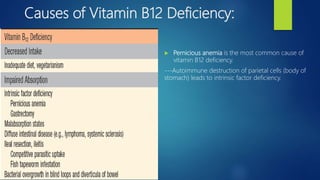 Causes of Vitamin B12 Deficiency:
 Pernicious anemia is the most common cause of
vitamin B12 deficiency.
---Autoimmune destruction of parietal cells (body of
stomach) leads to intrinsic factor deficiency.
 