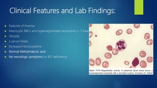 Clinical Features and Lab Findings:
 Features of Anemia
 Macrocytic RBCs and hypersegmented neutrophils (> 5 lobes)
 Glossitis
 ↓ serum folate
 Increased Homocysteine
 Normal Methylmalonic acid
 No neurologic symptoms (vs B12 deficiency)
 