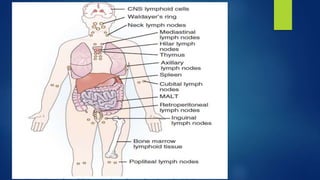 HEMATOLOGY AND LYMPHOID SYSTEM