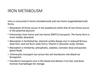 IRON METABOLISM
Irons is consumed in heme (meatderived) and non-heme (vegetablederived)
forms.
• Absorption of heme occurs in the duodenum while that of non-heme occurs
in the proximal jejunum
• Enterocytes have heme and non-heme (DMT1) transports. The heme form is
more readily absorbed.
• Absorption is facilitated by: stomach acidity (keeps iron in reduced ferrous
state Fe2+ and not ferric state Fe3+), Vitamin C (Ascorbic acid), Citrates.
• Absorption is limited by: phosphates, oxalates, tannates (tea) and pyrates
(plant food)
• Enterocytes transport iron across the cell membrane into blood via
ferroportin.
• Transferrin transports iron in the blood and delivers it to liver and bone
marrow macrophages for storage.
 