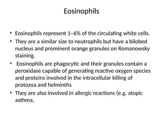 Eosinophils
• Eosinophils represent 1–6% of the circulating white cells.
• They are a similar size to neutrophils but have a bilobed
nucleus and prominent orange granules on Romanowsky
staining.
• Eosinophils are phagocytic and their granules contain a
peroxidase capable of generating reactive oxygen species
and proteins involved in the intracellular killing of
protozoa and helminths
• They are also involved in allergic reactions (e.g. atopic
asthma,
 