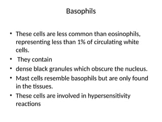 Basophils
• These cells are less common than eosinophils,
representing less than 1% of circulating white
cells.
• They contain
• dense black granules which obscure the nucleus.
• Mast cells resemble basophils but are only found
in the tissues.
• These cells are involved in hypersensitivity
reactions
 
