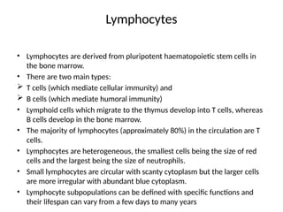 Lymphocytes
• Lymphocytes are derived from pluripotent haematopoietic stem cells in
the bone marrow.
• There are two main types:
 T cells (which mediate cellular immunity) and
 B cells (which mediate humoral immunity)
• Lymphoid cells which migrate to the thymus develop into T cells, whereas
B cells develop in the bone marrow.
• The majority of lymphocytes (approximately 80%) in the circulation are T
cells.
• Lymphocytes are heterogeneous, the smallest cells being the size of red
cells and the largest being the size of neutrophils.
• Small lymphocytes are circular with scanty cytoplasm but the larger cells
are more irregular with abundant blue cytoplasm.
• Lymphocyte subpopulations can be defined with specific functions and
their lifespan can vary from a few days to many years
 
